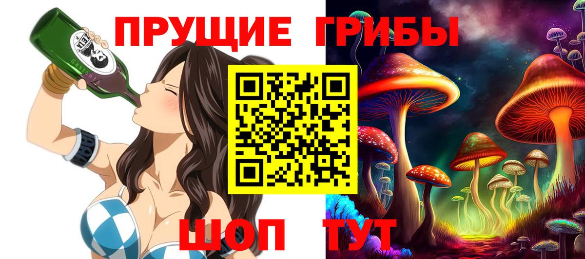 Псилоцибиновые грибы MAGIC MUSHROOMS  Псилоцибиновые грибы Psilocybe  Дедовск  купить наркотик  Вход с VPN 